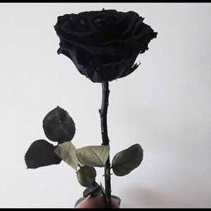 Meet your Posher, Cherifa